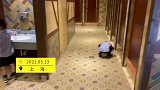 女子带双胞胎儿子进女厕，男童隔间外弯腰挨间的找