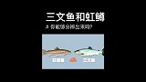 喜欢吃刺身鱼生的一定要谨慎