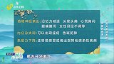 大医本草堂-20250804-关注儿童抽动症针药并用调失眠