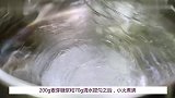 【番小茄Life一分钟学烘焙】水晶月饼2019