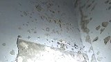 索马里首都一酒店遭恐袭后内部场景曝光：弹孔满墙，玻璃碎片满地