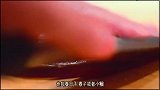 一想到小鱼就是新子和小肌？鲷鱼的幼鱼：春子鲷了解一下