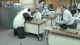 大熊猫闯进奶爸的办公室，上演大闹天宫的好戏，太逗了