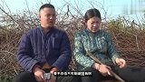 农村老婆嫌老公傻，结果丈夫不愿意承认，太逗了