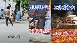 搞笑动物：工作竞争大，虎妈干起了兼职
