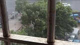 山竹号台风来临，狂风暴雨，树木都被吹歪了