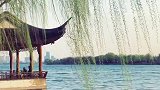 最是柳枝多婀娜，依依袅袅舞春风