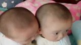 10个月的双胞胎兄弟，为了一个空奶盒子，竟然这样做，真是扎心
