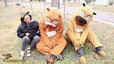 熊出没真人版：光头强用蜂蜜“钓”熊，结果被翠花一脚踹飞，真逗