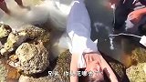 爆笑怪不得小姐姐那么白，原来还能这样泡出来啊