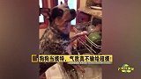 狗狗当模特，气质不输超模