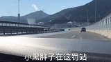 搞笑视频这导航你受得了吗