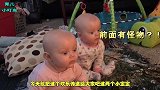 双胞胎宝宝齐刷刷的看向妈妈，表情萌翻了，原谅我傻傻分不清