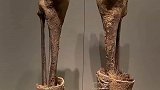 新疆和田博物馆收藏的穿靴小腿，年代为公元前21至15世纪，距今至少3500年