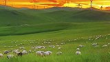 儿时风车梦，今夕入画屏。草原牧羊景，定格在仙境！