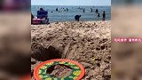 人类搞笑失误行为名场面，满级人类秒变大笑话，搞笑老外出糗瞬间