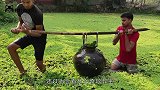 男子向树洞中灌水，竟然跳出几条鲶鱼，这是什么神仙操作
