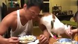 橘猫：你吃饭就吃饭啊，干嘛要扒拉着我啊
