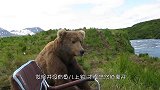 男子狩猎突然遇到黑熊，下一秒，黑熊突然朝男子狂奔而去！