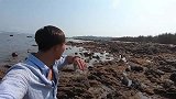 海边废弃的渔网没人要，阿壮赶海来捡漏？连抓几只大家伙