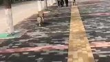 买菜啊？刚买完准备回去