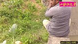 挂蚯蚓专钓墙角，原来这里藏着不少野货