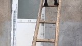 会爬梯子的狗狗，太聪明了