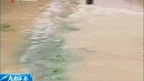 江西抚河决堤 已致10万人区域被水淹-6月23日