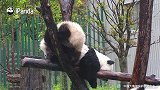 想和朋友绝交系列，你想睡一个安稳觉，那是不可能的