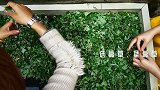 【视频】九江人的特色美食蒿粑、清明果