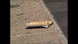 恶作剧：街上路人捡了钱归还失主，失主表示要送一个吻做补偿