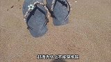 赶海必须穿鞋，拖鞋有摔倒风险！