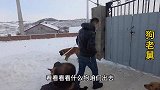 二哈被狠心主人要出售给狗肉馆，老舅花500元，成功解救