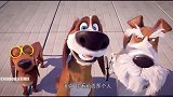 狗狗的疯狂假期：弗朗特不敢回家，害怕主人养狗，这样就没有地位