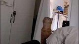 猫咪似乎找到一个好地方