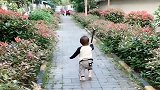 一见到太奶奶，儿子就把拐杖抢走，太奶奶寸步难行，为娘也无奈了