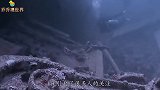 1万年前的古遗迹被发现，科学家人类或并非地球唯一文明