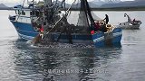 渔民捕到满满一网鱼，本以为大丰收，结果从渔网中掉出个大家伙