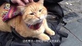 流浪汉无意间救了一只流浪猫，从此直接走向人生巅峰！