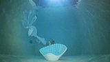 关小黑屋的第六天，自由潜的水下摄影，美人鱼