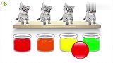益智色彩启蒙：灰色的小猫染成五颜六色的