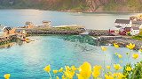 希望年山河无恙，人间皆安，希望家人和朋友们健健康康，平平安安