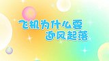 飞机为什么要迎风起落,兔小贝十万个为什么