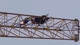 上海杨浦：男子醉酒后爬上170米塔吊，消防高空救人
