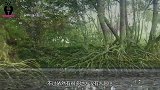 亚马逊雨林失火7天，从中发现一只12米巨兽，它是如何而来？