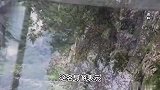 张家界景区跳崖事件知情导游：4人疑组团自杀，留遗书称无需他人担责