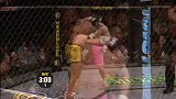UFC-14年-UFC183自由格斗：席尔瓦vs弗兰克林-专题