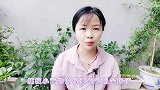 种辣椒,掐尖打顶,真的能提高产量吗试验说明一切