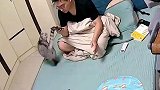 主人在床上看手机，猫咪走来亲吻主人