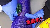 这还是腿吗，这已经不是腿了